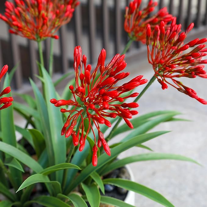 Artificial Flowers for Outdoors 18.9 in Large Fake Plants Outdoor Flower Spring Summer Decoration Outside for Front Porch Garden Window Box