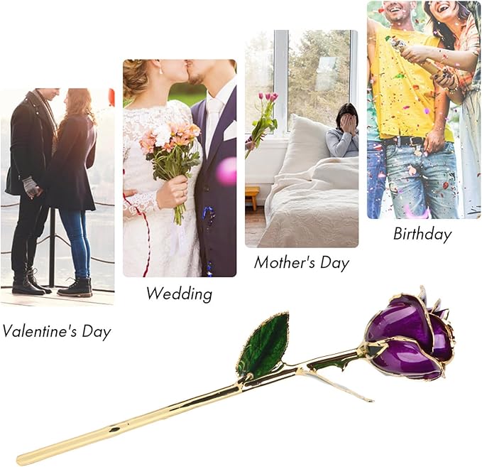 Ejoyous 24k Gold Dipped Rose Forever Preserved Long Stem Rose Flower for Wife Mother Girlfriend Her Birthday Christmas Day Valentine's Day Anniversary, Rose with Stand