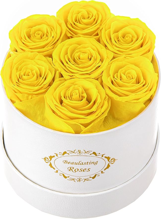 Beaulasting Long Lasting Preserved Roses in a Box Last a Year Forever Flowers for Her Mom Wife Anniversary Birthday (Round White Box, Yellow)