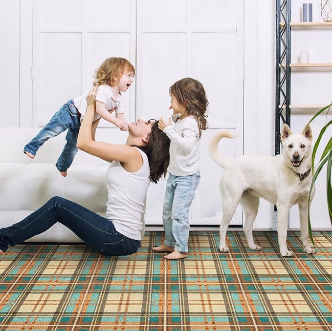 Ruaruarug Washable 8x10 Area Rug for Living Room, Bedroom, Ultra Soft Non Slip Stain & Fade Resistant, Pet & Kids Friendly, Suitable for High Traffic Areas Easy to Clean for Office Kitchen, Plaid