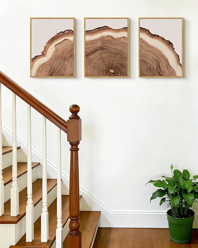 PHOPAGO Vintage Tree Rings Wood Framed Wall Art Modern Retro Stump Wall Decor Nature Farmhouse Rustic Art Prints Home Decor - 11x14in Natural Framed