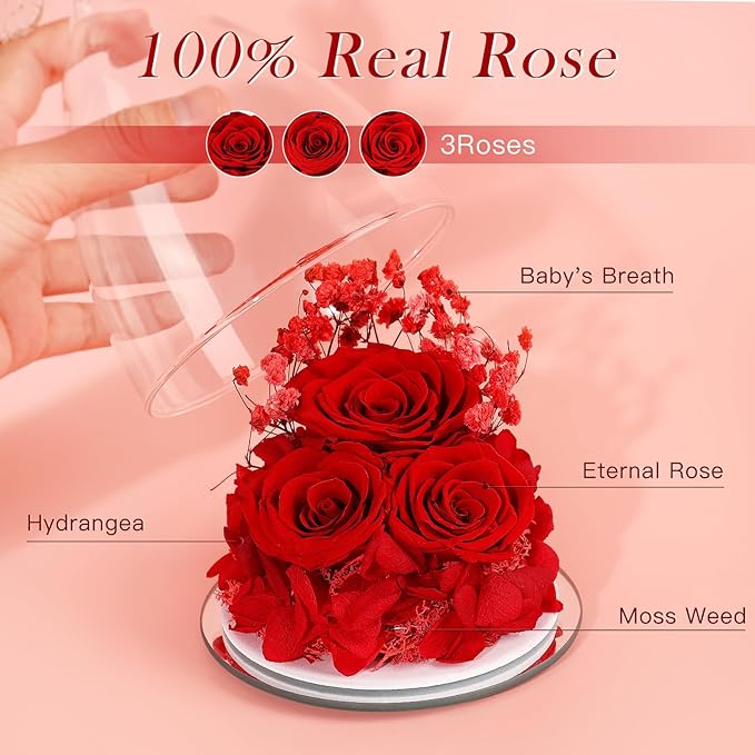 Flowers for Delivery Birthday Gifts for Women Gifts for Mom Grandma Mothers Day Fresh Preserved Flowers Forever Real Roses in Glass Angel Figurines Anniversary Present for Wife Her Friends Daughter