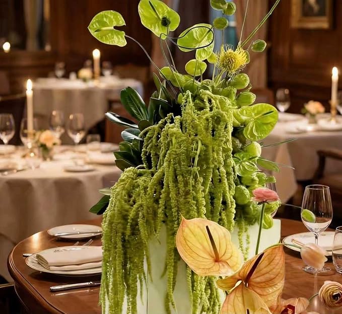 Silva Loup 24pcs Natural Dried Wisteria Hanging Flowers 30" - Bleached Green Vine for Wedding Bouquets, Wall Decor | Shedding Note & Mess-Free Use Tips Included