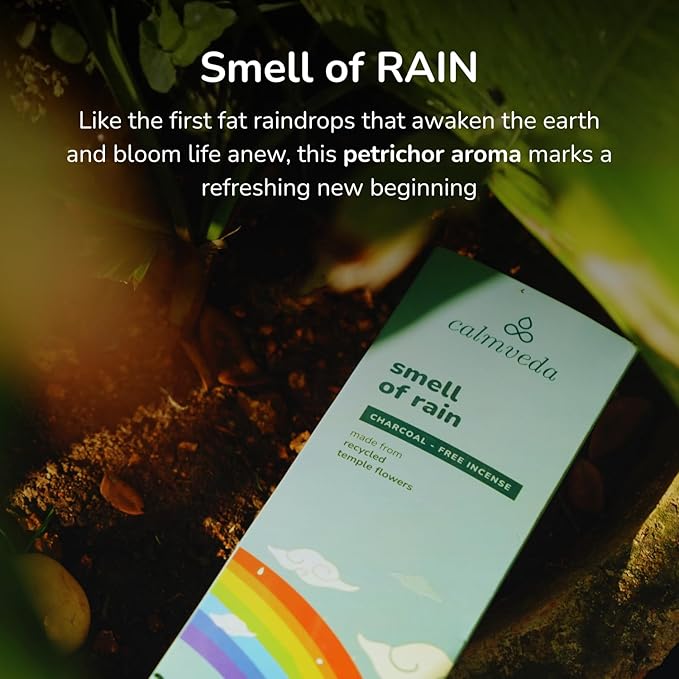 CALMVEDA Fresh Rain Incense Sticks - (80 Scent Sticks) Charcoal Free, Made from Upcycled Flowers | Like Petrichor Aroma of Rain Soaked Earth | Relaxing Scents for Meditation Incense
