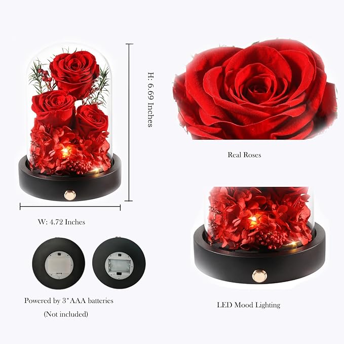 Preserved Flowers in Glass Dome with LED,Red Roses for Delivery, Valentines Day Gifts for Women Her Wife Mom on Mothers Day, Anniverysary, Birthday