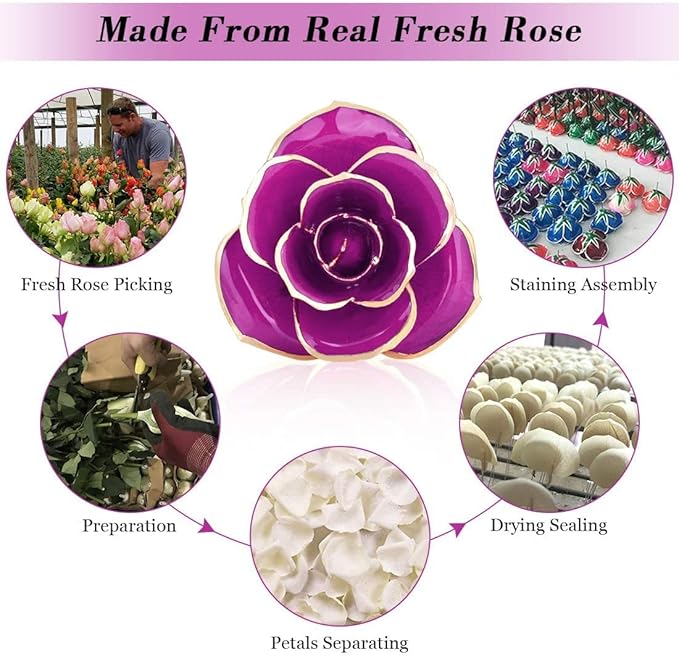 Ejoyous Gold Dipped Rose with Stand, Long Stem Forever Preserved Rose Flower Her and Wife Mother Girlfriend on Valentine's Day Birthday Christmas Day Anniversary Mother Day