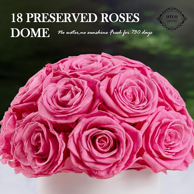 18 Preserved Roses in Round Dome Shape, Mother's Day Real Forever Flowers Rose Box, Eternal Rose Gift for Her Women Girl Friend Wife, Flower Gift for Valentines Day(Pink)