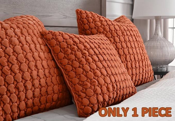 Pillow Cover 24x24 1 Piece Velvet Euro Sham Decorative Farmhouse Pillowcase Boho Square Cushion Covers Soft Bubble Texture for Couch Sofa Bed Bedroom Car Living Room，Rust