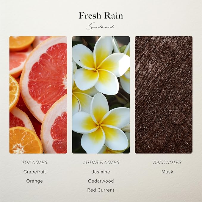 Scentiment Fresh Rain Fragrance Oil – Fresh Grapefruit and Crisp Red Currant, Scent for Diffusers, Aromatherapy Oil (500mL)
