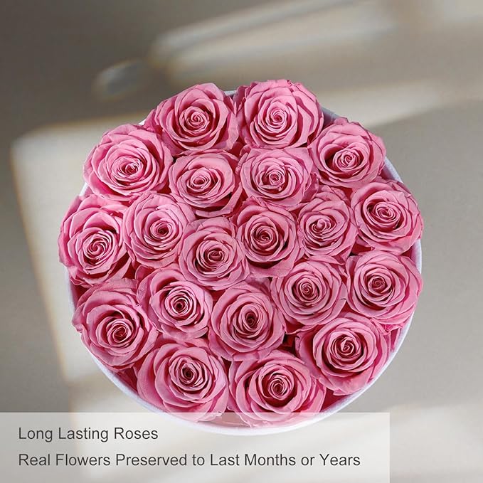 Gifts for Women Preserved Roses Flower Box, Luxury Velvet Box with 20 Roses, Preserved Flowers, Romantic Gift for Her, Wife, Girlfriend, Birthday Anniversary Christmas (Pink)