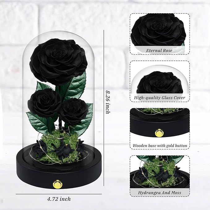 3 Preserved Flowers Roses in Glass Dome for Beauty and The Beast Decor Real Rosas Eternas for Women Mom Birthday,Forever Black Roses for Delivery, Christmas for Wife Girlfriend Her