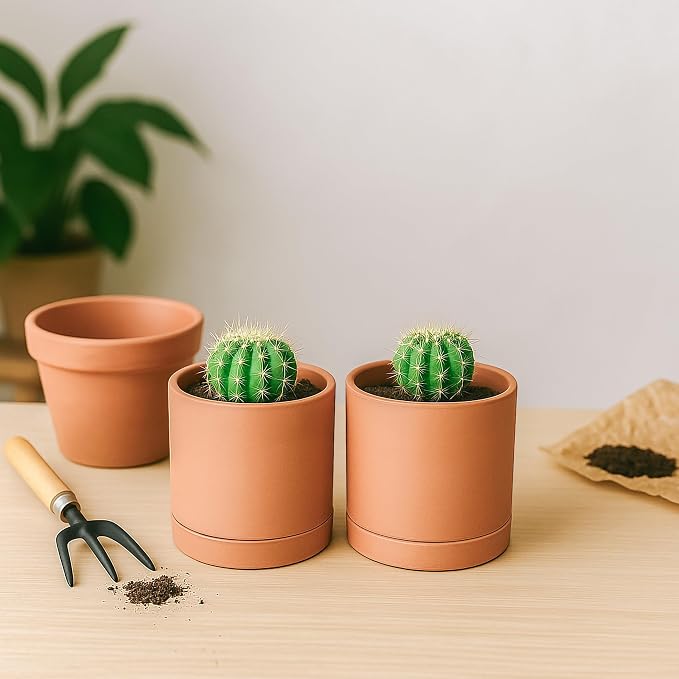 D'vine Dev X-Small 4 Inch Terracotta Plant Pots with Drainage Hole and Saucer, Round Cylinder Planter Pot for Indoor Plants, Set of 2, 40-X-B-1