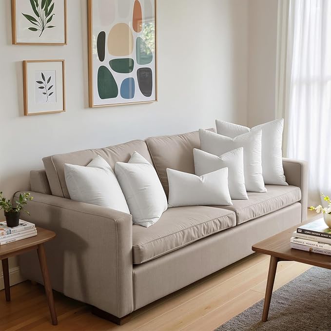 MIULEE Pack of 4 24x24 Euro Pillow Inserts, Premium Feather and Down Decorative Throw Pillows, Fluffy and Choppable, Cotton Fabric for Sofa Bed Couch
