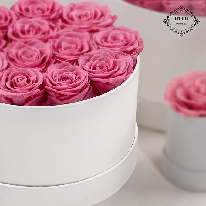 12 Piece Preserved Roses in a Box - Forever Flowers for Delivery Prime, Eternal Roses Mothers Gifts for Mom, Valentine's Day, Wife Anniversary Birthday Gifts for Women(Pink)