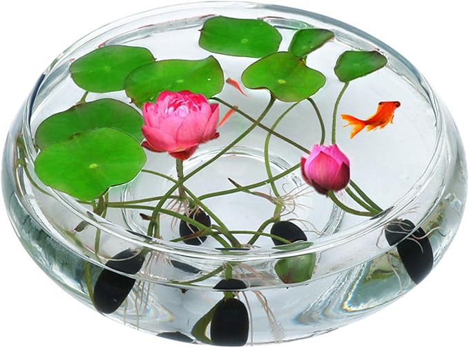 Lotus Bowl Planter Glass Lotus Bowls for Planting in Water Indoors Bonsai Pots No Drainage Hole Hydroponic Aquatic Plants Terrarium Fish Bowls Large