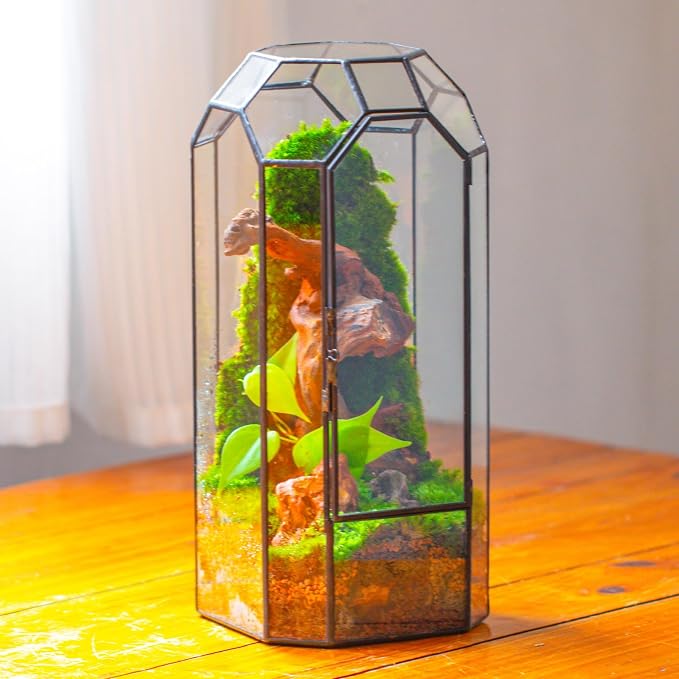 NCYP Glass Geometric Octagon Plant Terrarium with Door 5.5"x5.5"x12.8" | Indoor Vintage Planter for Tall Plants, Orchid, Small Begonia Pitcher, Home Garden Office Tabletop Decor (Terrarium Only)
