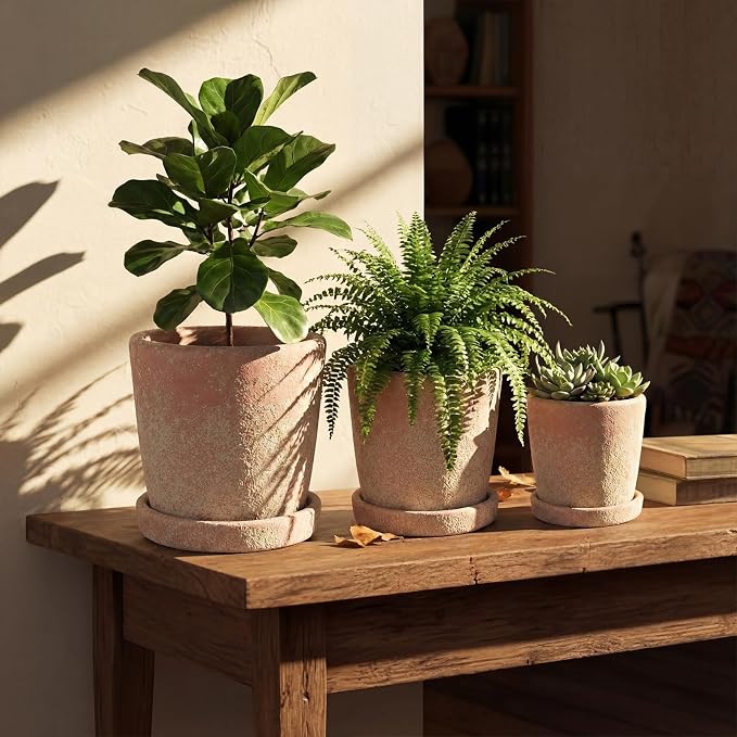 Yungyan Set of 3 Rustic Terracotta Planter Pot and Saucer 5/6/7 Inch Aged Farmhouse Style Flower Pot Distressed Finish Cement Planter with Drainage Hole for Indoor Outdoor Garden, Patio, Porch