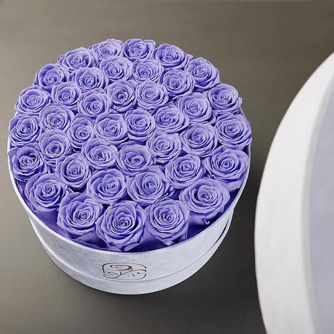Gifts for Women Preserved Roses Flower Box, Luxury Velvet Box with 40 Roses, Preserved Flowers, Romantic Gift for Her, Wife, Girlfriend, Birthday Anniversary Christmas (Light Purple)