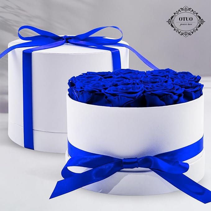 12 Piece Preserved Roses in a Box - Forever Flowers for Delivery Prime, Eternal Roses Mothers Gifts for Mom, Valentine's Day, Wife Anniversary Birthday Gifts for Women(Blue)