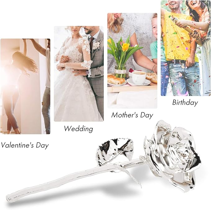 25th Anniversary Silver Rose, 24K Gold Dipped Flower Long Stem Forever Preserved Eternal Rose Present for Her Wife Mom, Birthday Valentine's Day Wedding