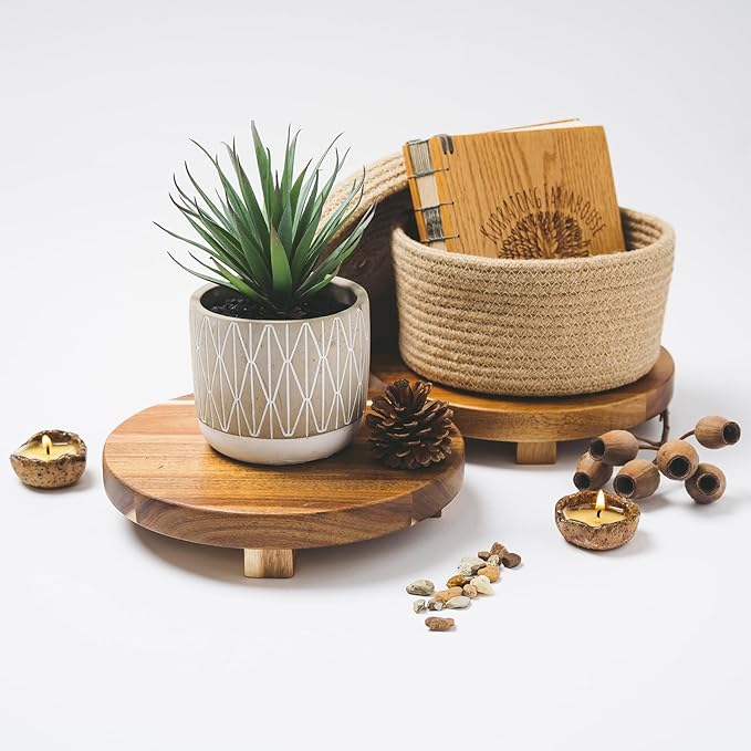 Kurrajong Farmhouse Artificial Plant in Pot - 8" high Small Faux Plant for Desk, Bathroom, Shelf & Coffee Table - Realistic Indoor Plant for Home Decor