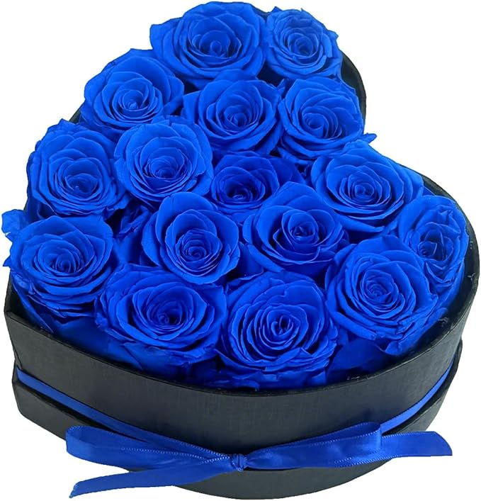 Preserved Roses Heart Shape Box Valentines Day Gifts for Her Mothers Day Forever Flowers (Blue, 16 Roses)