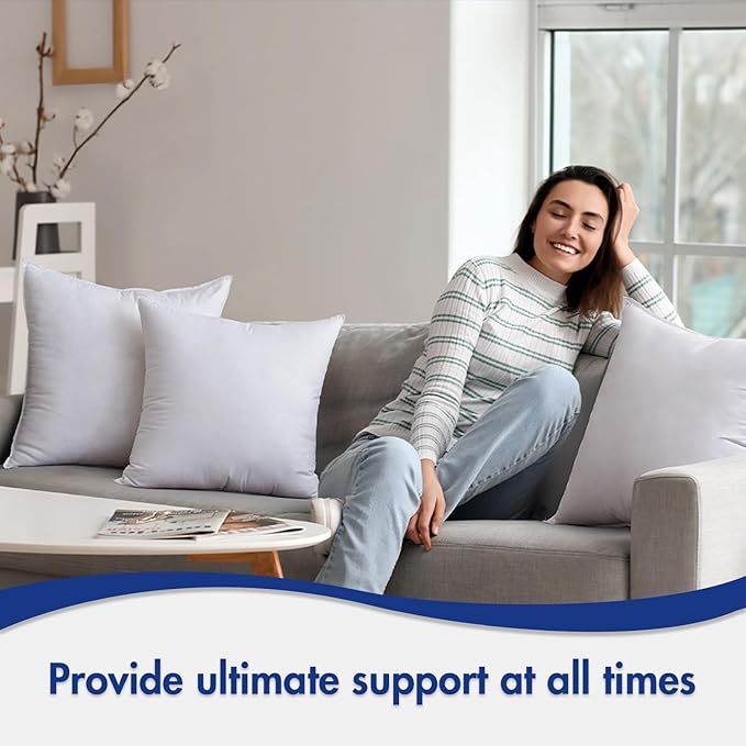 MIULEE 24x24 Down Alternative Pillow Insert Euro Decorative Throw Pillow 24 x 24 Inch Body Bed Sleeping Ultra Soft Fluffy Form for Sofa Couch Bed (Pack of 2)
