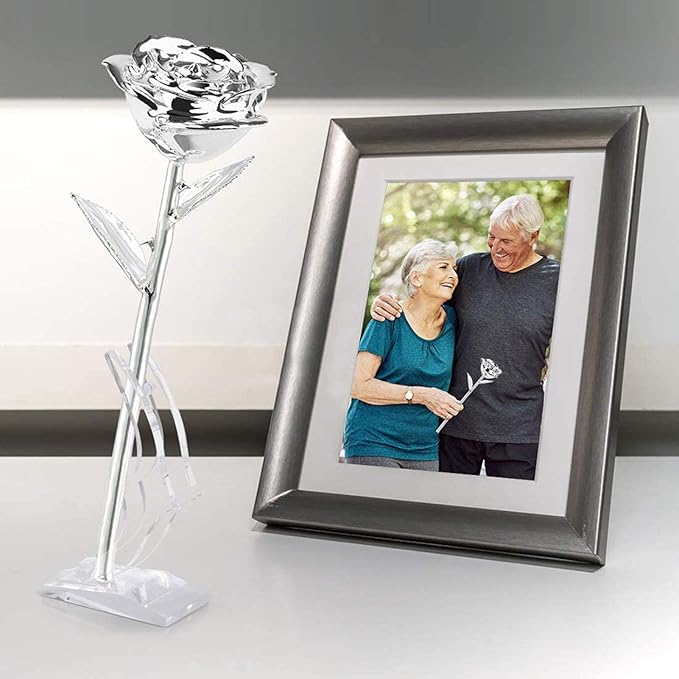Ejoyous Silver Plated Real Rose Long Stem Forever Preserved Rose Flower for Her Women Wife Mother Girlfriend on Mothers Day Valentine's Day 25th 50th Anniversary Birthday