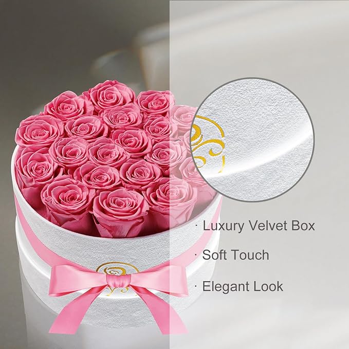 Gifts for Women Preserved Roses Flower Box, Luxury Velvet Box with 20 Roses, Preserved Flowers, Romantic Gift for Her, Wife, Girlfriend, Birthday Anniversary Christmas (Pink)