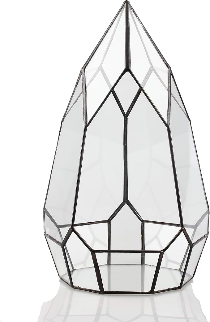 NCYP No Door Glass Geometric Terrarium Planter for Succulent Plants, Fern, Balcony Display Pot - Black Miniature Botanical Garden, Large (Terrarium Only) 12.2" Height, 7.1" Width