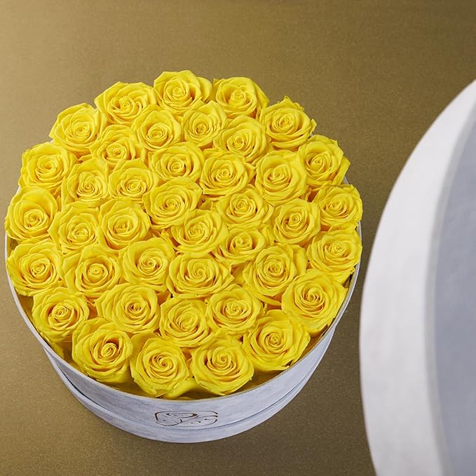 Gifts for Women Preserved Roses Flower Box, Luxury Velvet Box with 40 Roses, Preserved Flowers, Romantic Gift for Her, Wife, Girlfriend, Birthday Anniversary Christmas (Yellow)