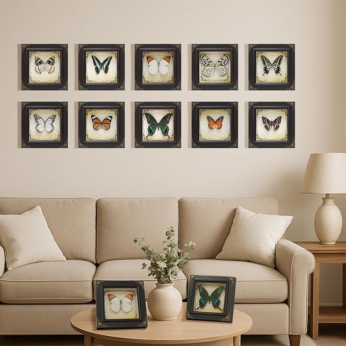 Handmade Real Butterfly Taxidermy Framed - 5-Piece Gift Set for Mother's Day - Gothic Home Decor and Vintage Frame - Butterflies Taxidermy Shadow Box Collection (Great Nawab Butterfly)