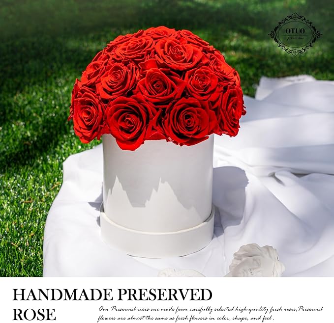 27 Preserved Roses in Round Dome Shape, Mother's Day Real Forever Flowers Rose Box, Eternal Rose Gift for Her Women Girl Friend Wife, Flower Gift for Valentines Day(Red)