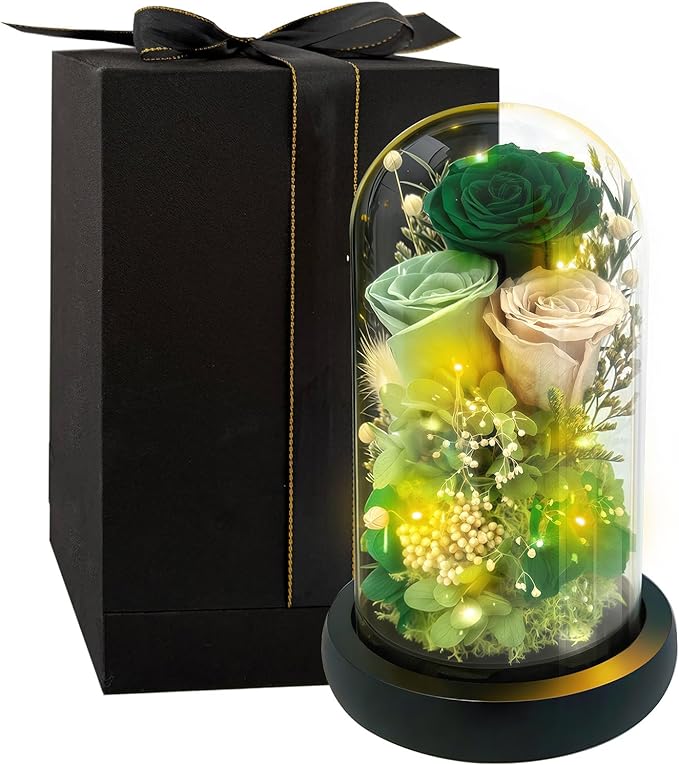 HipTree Preserved Morandi Green Rose in Glass Dome with LED Lights - Forever Eternal Rose Gifts for Women, Valentines Day Mothers Day Birthday Christmas Wedding Anniversary for Mom Wife Girlfriend