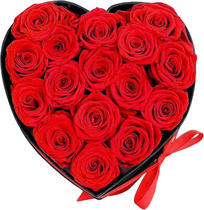 Preserved Roses Heart Shape Box Valentines Day Gifts for Her Mothers Day Forever Flowers (Red, 16 Roses)