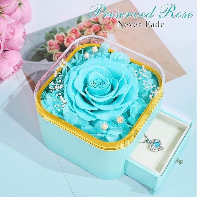 Beferr Mothers Day Forever Rose with Necklace for Mom Birthday Gifts Preserved Roses Eternal Flower for Delivery Fresh Flowers Gifts for Mother Wife Her Grandma Sister Daughter Girls Friends