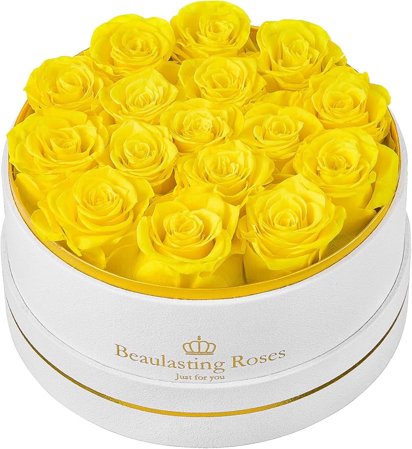 16 Preserved Roses Forever Flowers Real Roses in a Box Mother's Day Birthday Flowers for Her Mom Women Wife Valentine's Day, Yellow Roses