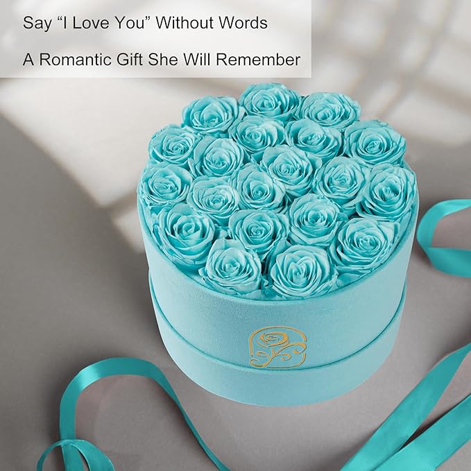 Gifts for Women Preserved Roses Flower Box, Luxury Velvet Box with 20 Roses, Preserved Flowers, Romantic Gift for Her, Wife, Girlfriend, Birthday Anniversary Christmas (Teal Blue)