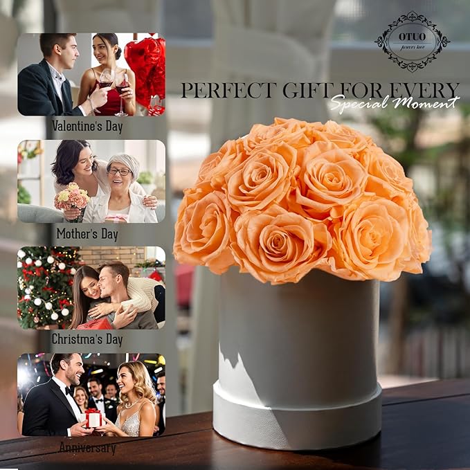 18 Preserved Roses in Round Dome Shape, Mother's Day Real Forever Flowers Rose Box, Eternal Rose Gift for Her Women Girl Friend Wife, Flower Gift for Valentines Day(Champagne)