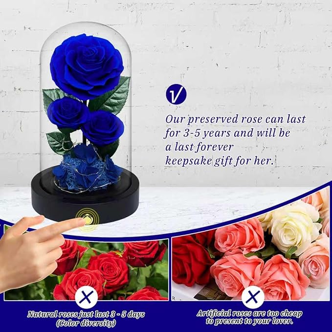 3 Preserved Flowers Roses in Glass Dome for Beauty and The Beast Decor Real Rosas Eternas for Women Mom Birthday,Forever Blue Roses for Delivery,Christmas for Wife Girlfriend Her