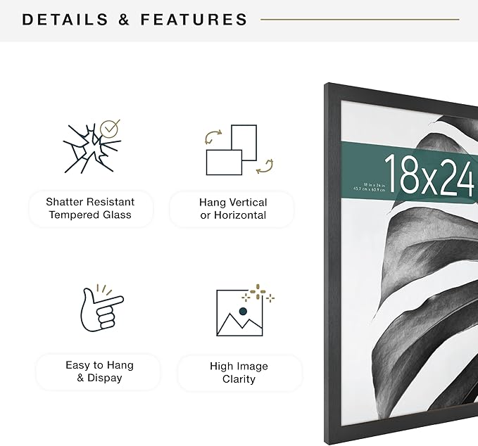 MCS Studio Gallery 18x24 Poster Frame Black Woodgrain Engineered Wood, Vertical & Horizontal Wall Hanging Large Picture Frame for Photos, Posters & Art Prints (2-Pack)
