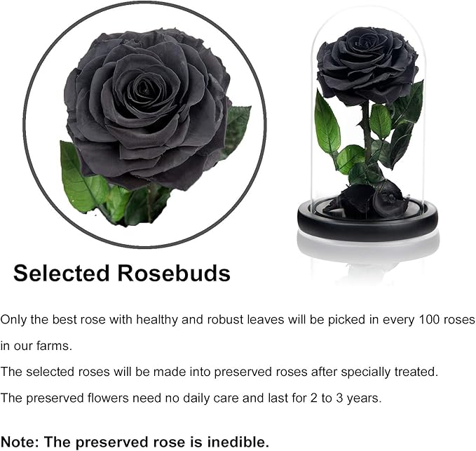 NATROSES Christmas Birthday Gifts for Women, Handmade Preserved Roses in Glass Dome, Black Roses Roses, Preserved Flowers Gifts for Mom, Mothers Day Flowers