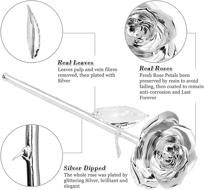 Ejoyous Silver Plated Real Rose Long Stem Forever Preserved Rose Flower for Her Women Wife Mother Girlfriend on Mothers Day Valentine's Day 25th 50th Anniversary Birthday