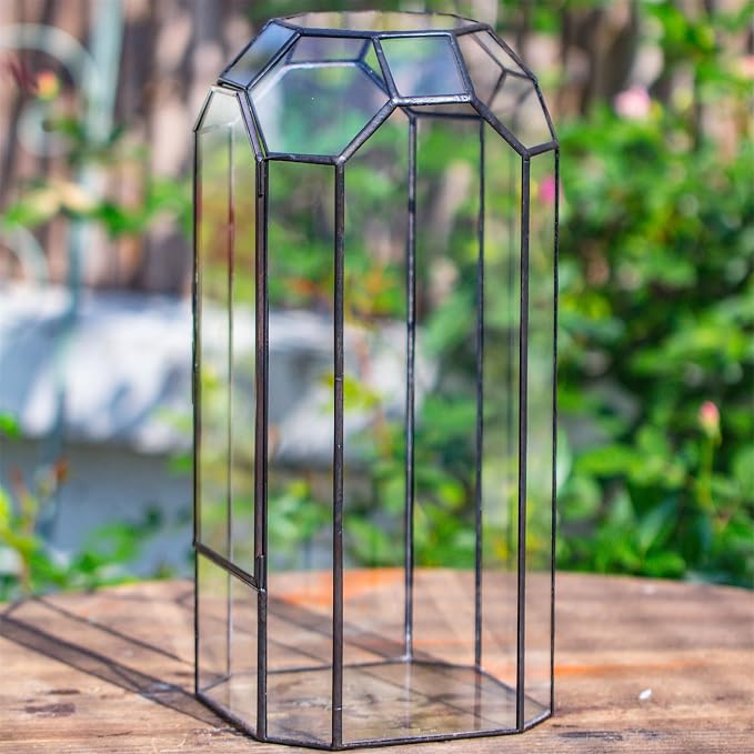 NCYP Glass Geometric Octagon Plant Terrarium with Door 5.5"x5.5"x12.8" | Indoor Vintage Planter for Tall Plants, Orchid, Small Begonia Pitcher, Home Garden Office Tabletop Decor (Terrarium Only)