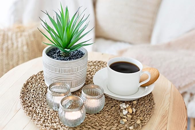 Kurrajong Farmhouse Artificial Plant | 8" Fake Plant for Desk Decor | Artificial Succulent in Pot | Fake Succulent | Faux Plant Indoor | Artificial Greenery for Shelf Decor