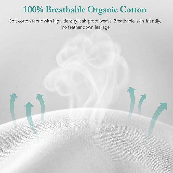 BPC Luxury Feather Down 26x26 Euro Pillow Inserts Set of 2, Soft Fluffy Throw Pillow Inserts, 100% Organic Cotton Cover, Square Pillows for Couch, Living Room, Bed, Sofa