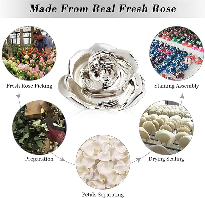 Ejoyous Silver Plated Real Rose Long Stem Forever Preserved Rose Flower for Her Women Wife Mother Girlfriend on Mothers Day Valentine's Day 25th 50th Anniversary Birthday
