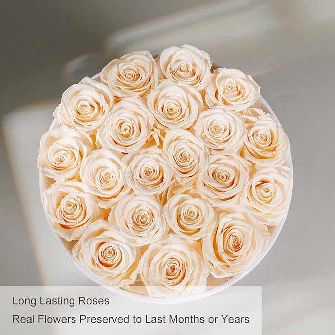Gifts for Women Preserved Roses Flower Box, Luxury Velvet Box with 20 Roses, Preserved Flowers, Romantic Gift for Her, Wife, Girlfriend, Birthday Anniversary Christmas (Buttermilk)