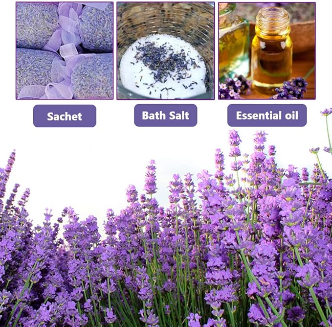 Dried Lavender Flowers, Natural Dried Lavender Buds, Fragrant Dried Lavender Bulk for Drawers and Closets, Wholesale Dried Flowers for Soap, Candle, Sachets, DIY (1 Pound)