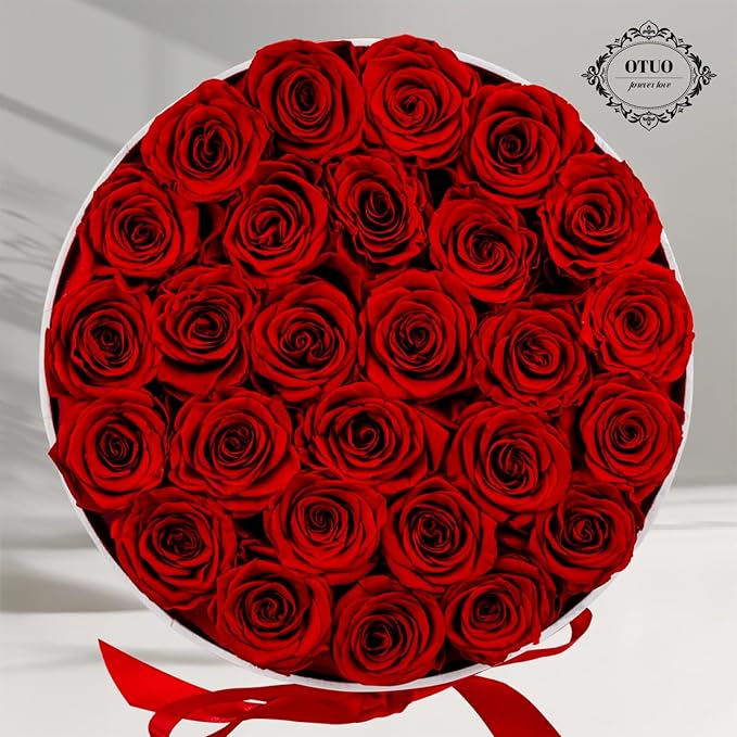 27 Piece Preserved Roses in a Box - Forever Flowers for Delivery Prime, Eternal Roses Mothers Gifts for Mom, Valentine's Day, Wife Anniversary Birthday Gifts for Women(Red)